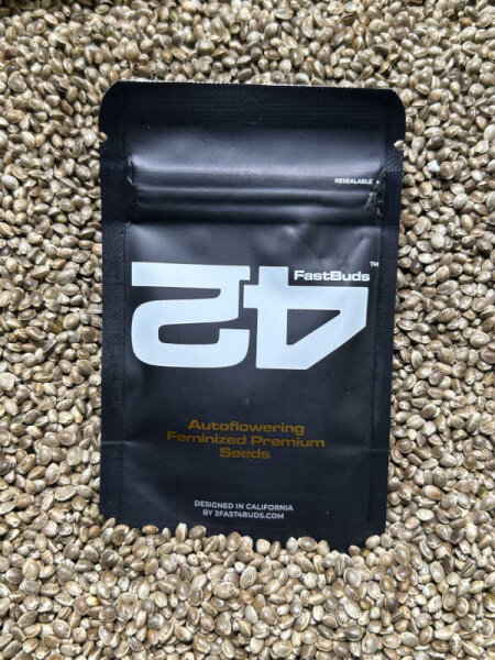 FastBuds Z-Up, automatic