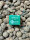 PURIZE First Aid Kit (Klebestreifen) 1Stk