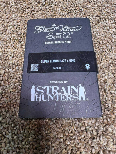 Green House Seeds Super Lemon Haze X GMO, 1 Samen feminisiert