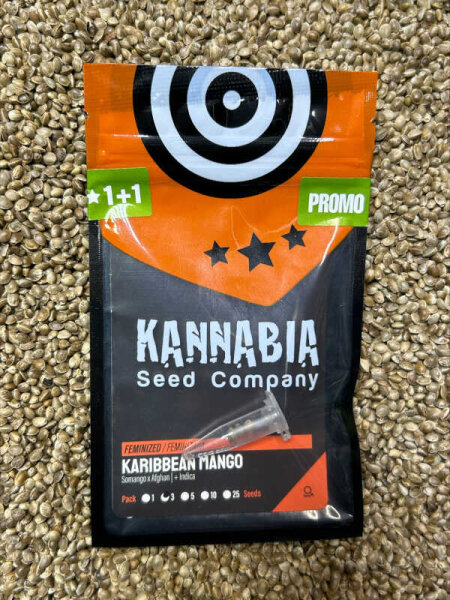 KANNABIA SEEDS KARIBBEAN MANGO, 3+1 Samen feminisiert