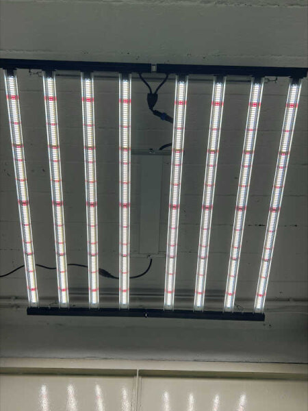 Fortis BYD 1000w LED 2.8 mmol, Vollspektrum, 110x110x7cm