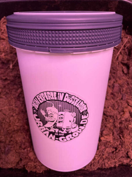 Schraubdose Basic weiss mit Deckel, 2,0l