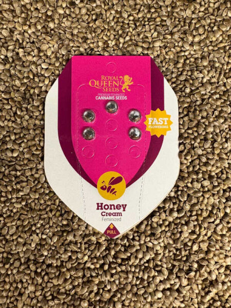 ROYAL QUEEN SEEDS Honey Cream Fast Version, 5 Samen feminisiert
