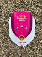 ROYAL QUEEN SEEDS Grape Ape, 3 Samen feminisiert