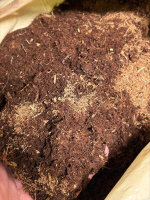 Canna Coco Coarse 50l