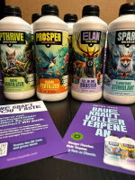 Crazy Hills XMAS Knaller