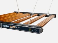 DIMLUX Xtreme 550w NIR