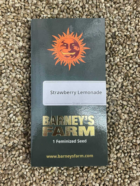 Barney`s Farm Seeds Strawberry Lemonade, 1 Samen feminisiert