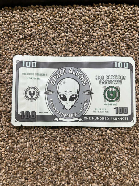 Mylar Bag Schnellverschlussbeutel SPACE 100mm x 140mm 90µ (Alienkopf auf Schein)