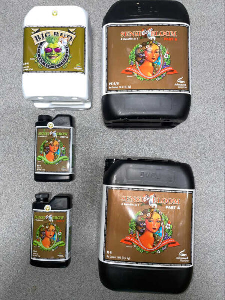 Sensi Coco Big Bundle