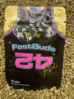 FastBuds CBD Auto 20:1, 1 Samen automatic
