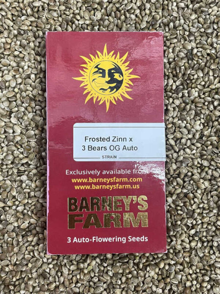Barney`s Farm Seeds FROSTED ZINN X 3 BEARS OG Auto, 3 Samen automatic