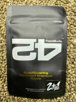 FastBuds Chery Cola Auto, 2 Samen automatic