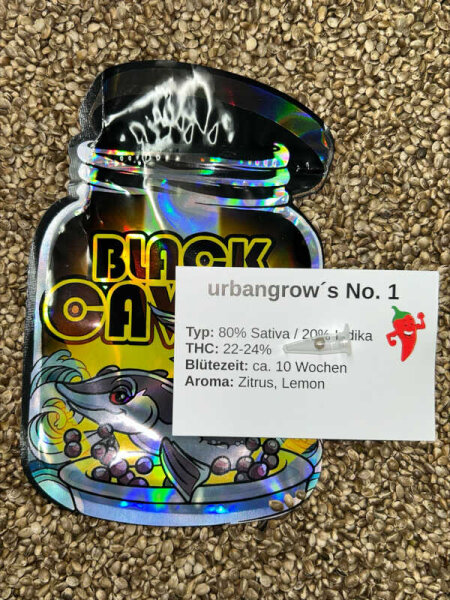 urbangrows No. 1 - 5 Samen feminisiert