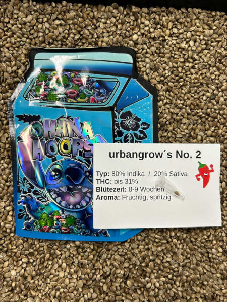 urbangrows No. 2 - 5 Samen feminisiert