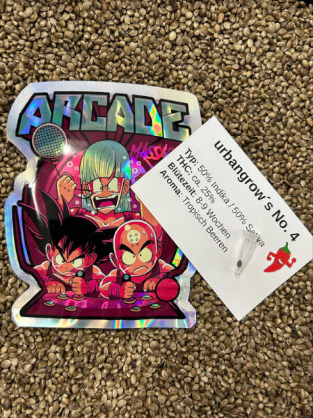 urbangrows No. 4 - 3 Samen feminisiert