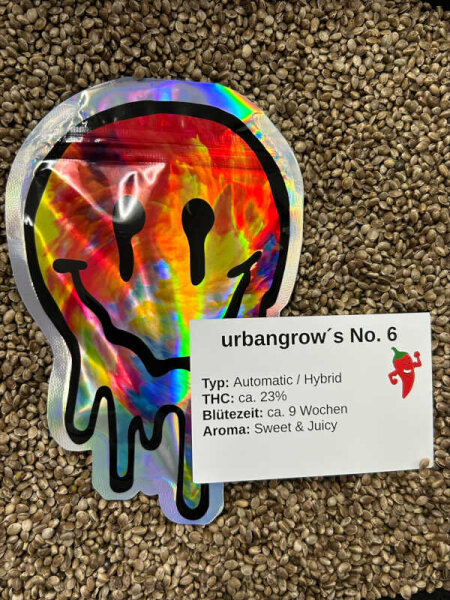 urbangrows No. 6 Auto - 3 Samen automatic