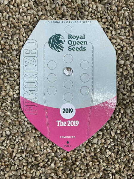 ROYAL QUEENS SEEDS The 2019, 1 Samen feminisiert