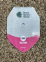 ROYAL QUEENS SEEDS The 2019, 1 Samen feminisiert