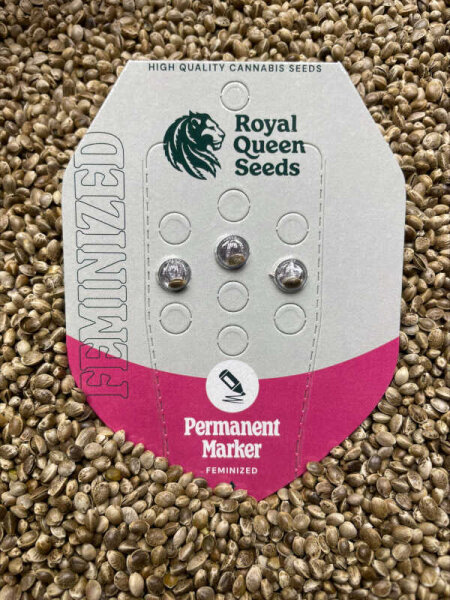 ROYAL QUEENS SEEDS Permanent Marker, 3 Samen feminisiert