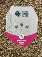 ROYAL QUEENS SEEDS Permanent Marker, 3 Samen feminisiert