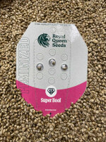 ROYAL QUEENS SEEDS Super Boof, 3 Samen feminisiert