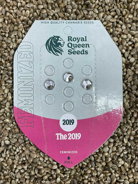 ROYAL QUEENS SEEDS The 2019, 3 Samen feminisiert