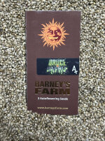 Barney`s Farm Seeds Bruce Banner Auto, 3 Samen automatic