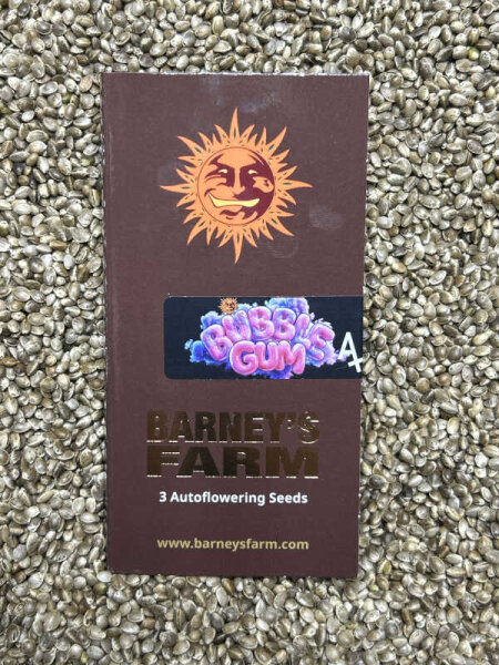 Barney`s Farm Seeds Bubblegum Auto, 3 Samen automatic