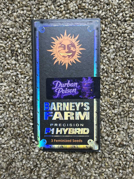 Barney`s Farm Seeds Durban Poison, 3 Samen feminisiert