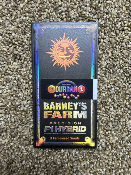 Barney`s Farm Seeds Durban Z, 3 Samen feminisiert