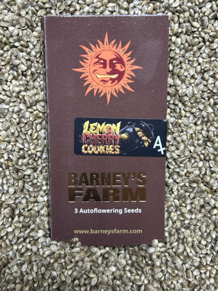 Barney`s Farm Seeds Lemon Cherry Cookies Auto, 3 Samen automatic