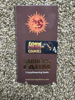Barney`s Farm Seeds Lemon Cherry Cookies Auto, 3 Samen...