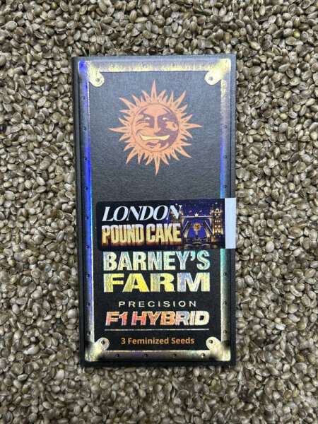 Barney`s Farm Seeds London Pound Cake, 3 Samen feminisiert