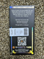 Barney`s Farm Seeds RS11, 3 Samen feminisiert