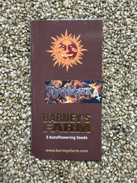 Barney`s Farm Seeds Trainwreck Auto, 3 Samen automatic