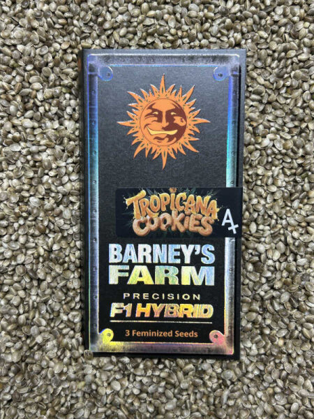 Barney`s Farm Seeds Tropicana Cookies, 3 Samen feminisiert