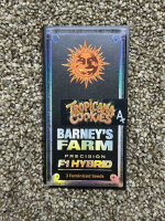Barney`s Farm Seeds Tropicana Cookies, 3 Samen feminisiert