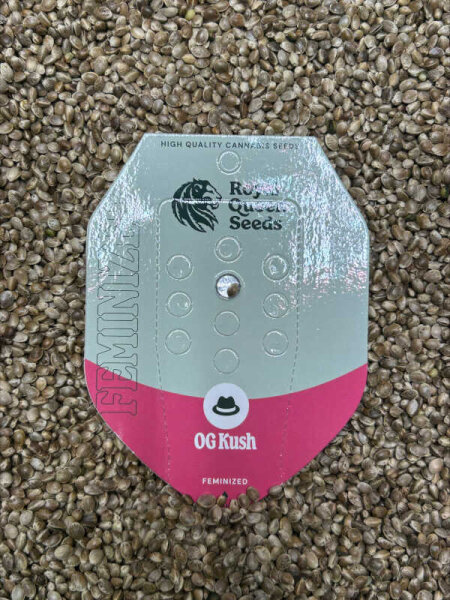 ROYAL QUEEN SEEDS OG Kush  1 Samen feminisiert