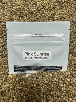 Cannabella Genetics Pink Sunrise 6 Seeds feminisiert