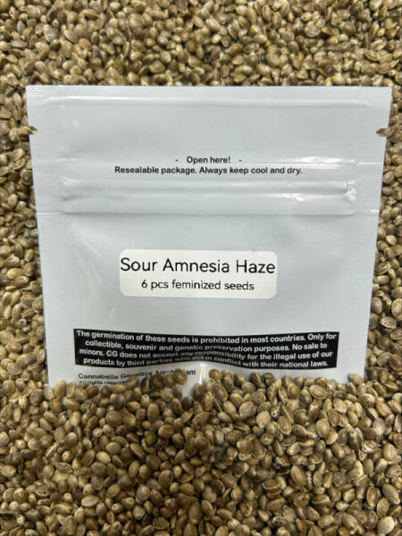 Cannabella Genetics Sour Amnesia Haze 6 Seeds feminisiert